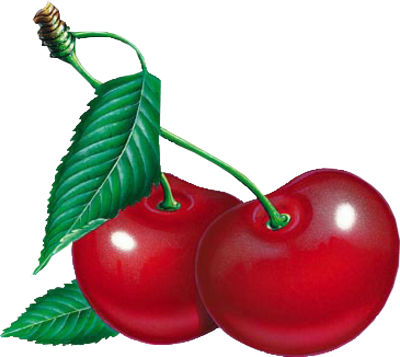 Cherry on Cherry Psd21023 Png Juicy Cherries