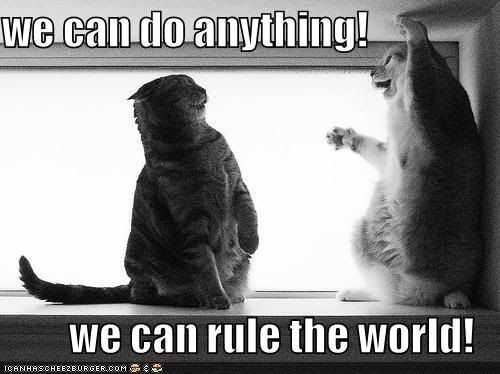 lolcat-rule-world.jpg