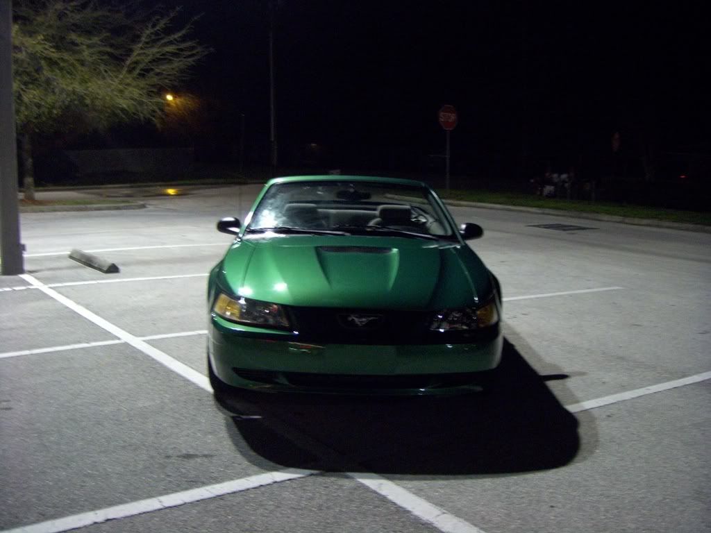 Mustang017.jpg