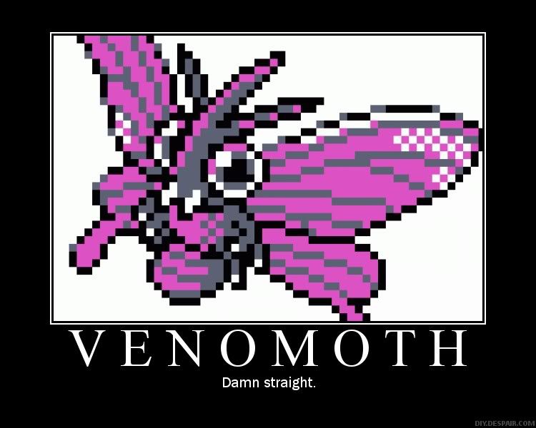venomoth.jpg