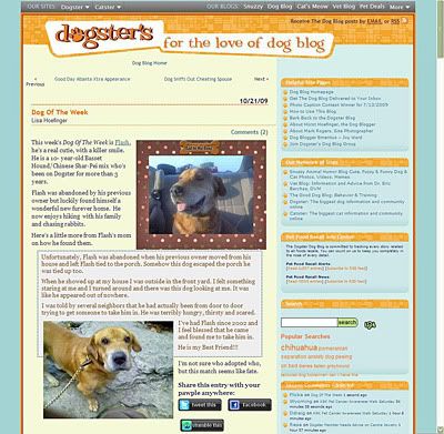 Flash-DogBlogresized.jpg Dog Blog resized image by Snowdrops10