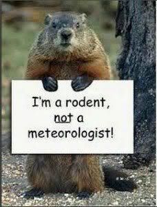 groundhog.jpg