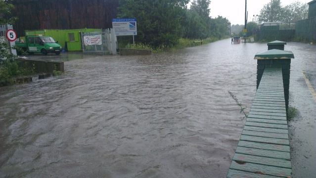 IMAG0109.jpg