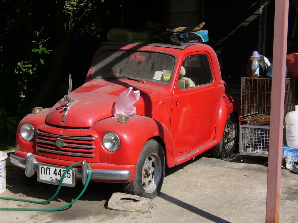 P1030711-1.jpg
