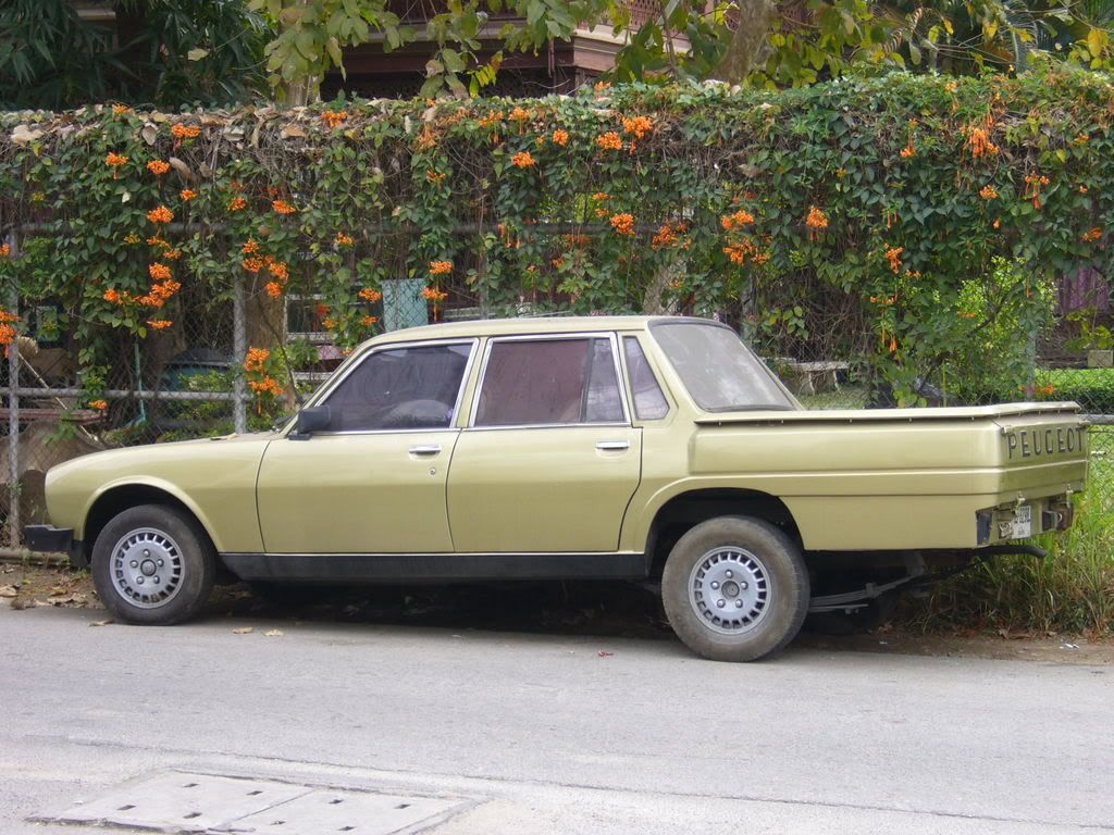 P1060931.jpg