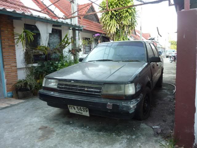 P1100428_zpsabc1d674.jpg