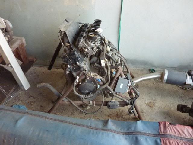 P1100443_zpscc8b01ab.jpg