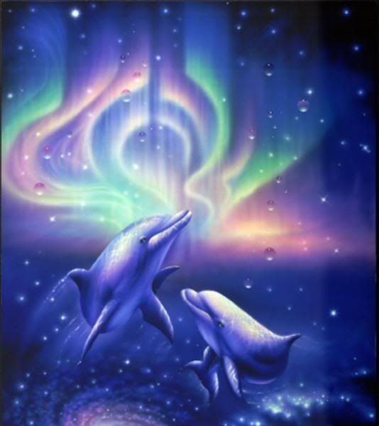 Dolphinslookingatsky.jpg