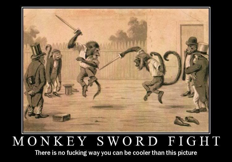 Motivational Monkey Sword Fight Pictures, Images and Photos