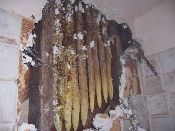 Apăsaţi pentru a vedea imaginea la dimensiuni originale