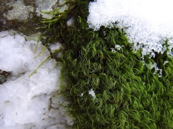 Apăsaţi pentru a vedea imaginea la dimensiuni originale