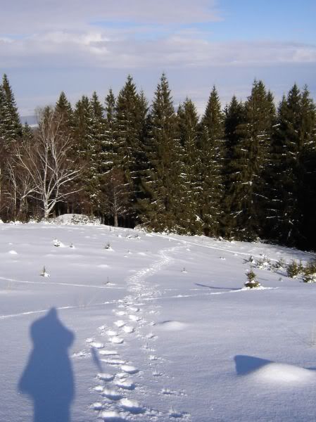 Apăsaţi pentru a vedea imaginea la dimensiuni originale