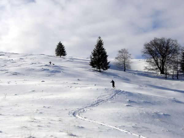 Apăsaţi pentru a vedea imaginea la dimensiuni originale