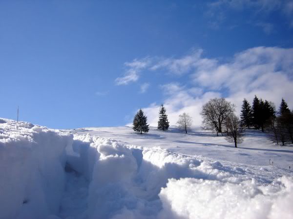 Apăsaţi pentru a vedea imaginea la dimensiuni originale