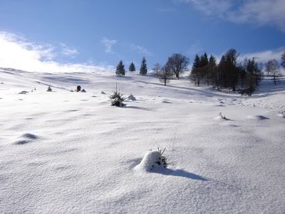 Apăsaţi pentru a vedea imaginea la dimensiuni originale