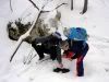 Nume fişier : cautand_apa.jpg
Mărime fişier : 126KB
Dimensiuni : 1024x768
Data adăugării : 13 Feb 2006 cautand_apa.jpg