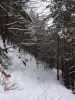 Nume fişier : poteca.jpg
Mărime fişier : 178KB
Dimensiuni : 600x800
Data adăugării : 13 Feb 2006 poteca.jpg