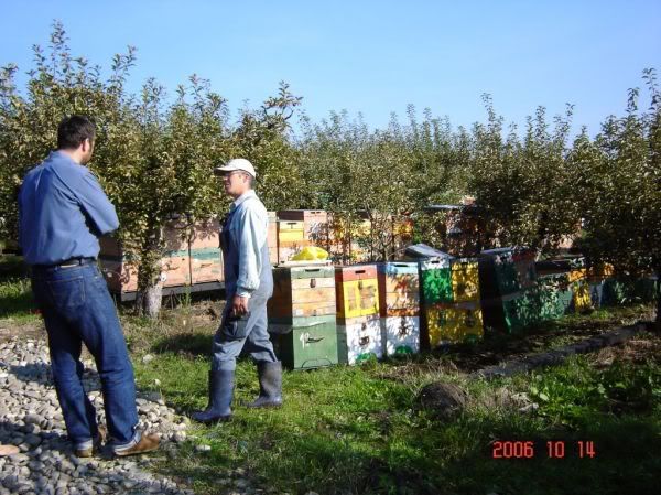 Apăsaţi pentru a vedea imaginea la dimensiuni originale