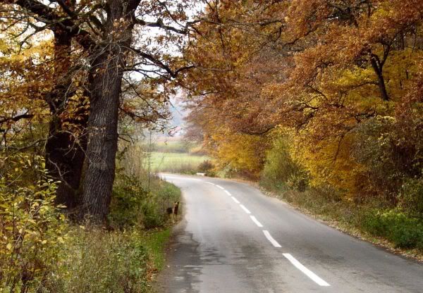 Apăsaţi pentru a vedea imaginea la dimensiuni originale