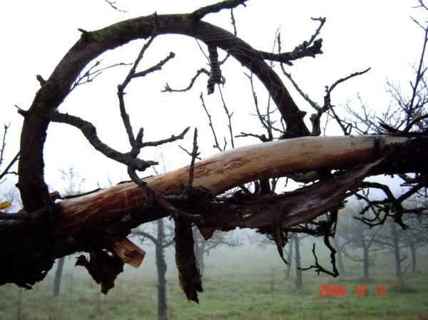 Apăsaţi pentru a vedea imaginea la dimensiuni originale