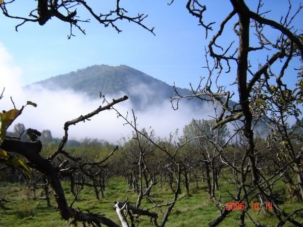 Apăsaţi pentru a vedea imaginea la dimensiuni originale