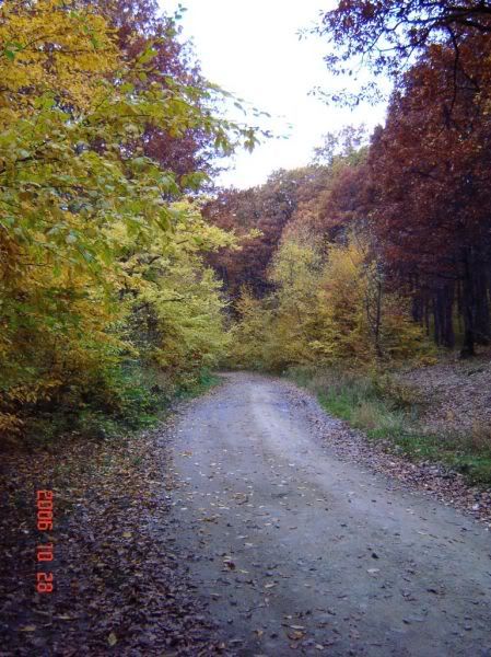 Apăsaţi pentru a vedea imaginea la dimensiuni originale
