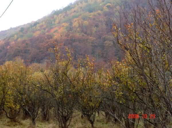Apăsaţi pentru a vedea imaginea la dimensiuni originale