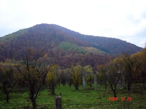 Apăsaţi pentru a vedea imaginea la dimensiuni originale