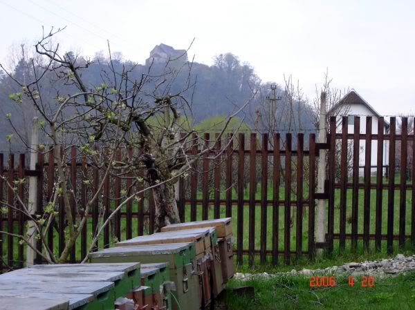 Apăsaţi pentru a vedea imaginea la dimensiuni originale