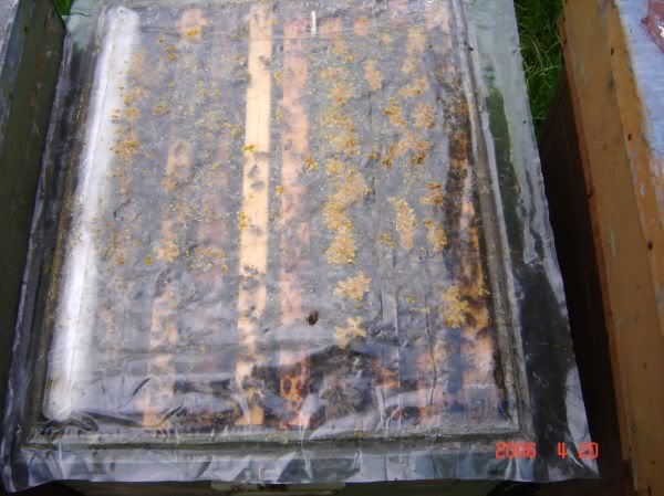 Apăsaţi pentru a vedea imaginea la dimensiuni originale