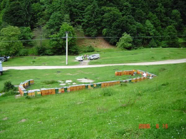 Apăsaţi pentru a vedea imaginea la dimensiuni originale
