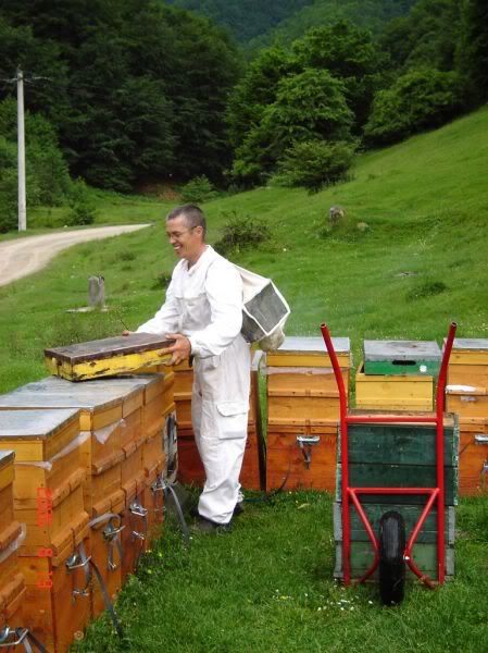 Apăsaţi pentru a vedea imaginea la dimensiuni originale