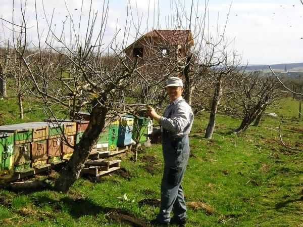 Apăsaţi pentru a vedea imaginea la dimensiuni originale