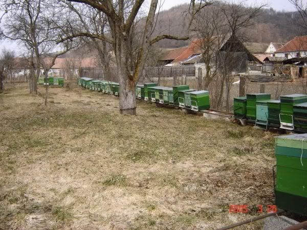 Apăsaţi pentru a vedea imaginea la dimensiuni originale