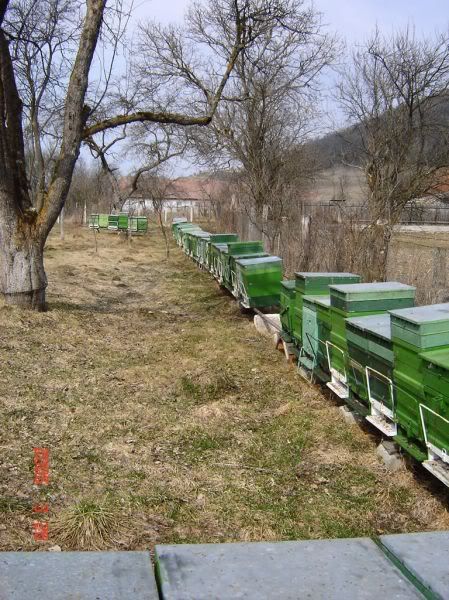Apăsaţi pentru a vedea imaginea la dimensiuni originale
