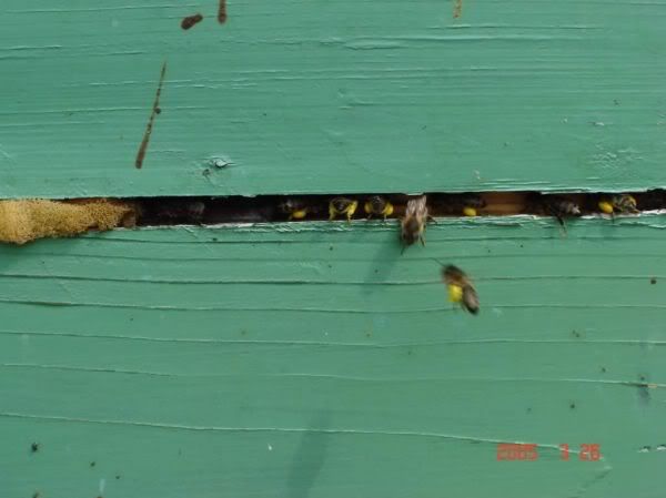 Apăsaţi pentru a vedea imaginea la dimensiuni originale