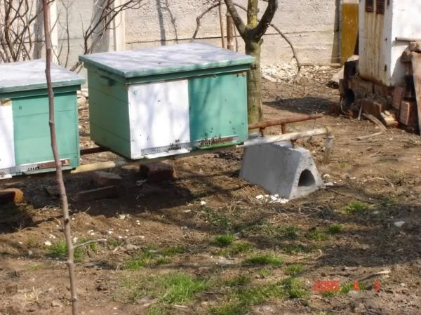 Apăsaţi pentru a vedea imaginea la dimensiuni originale