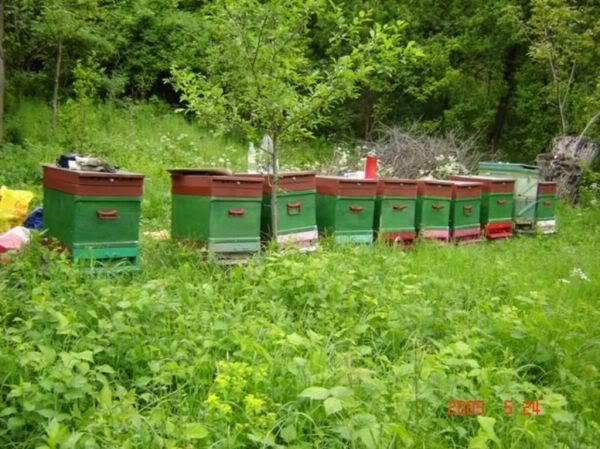 Apăsaţi pentru a vedea imaginea la dimensiuni originale