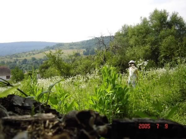 Apăsaţi pentru a vedea imaginea la dimensiuni originale