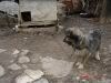 Nume fişier : DSC00474.jpg
Mărime fişier : 185KB
Dimensiuni : 1024x768
Data adăugării : 03 Mar 2006 DSC00474.jpg