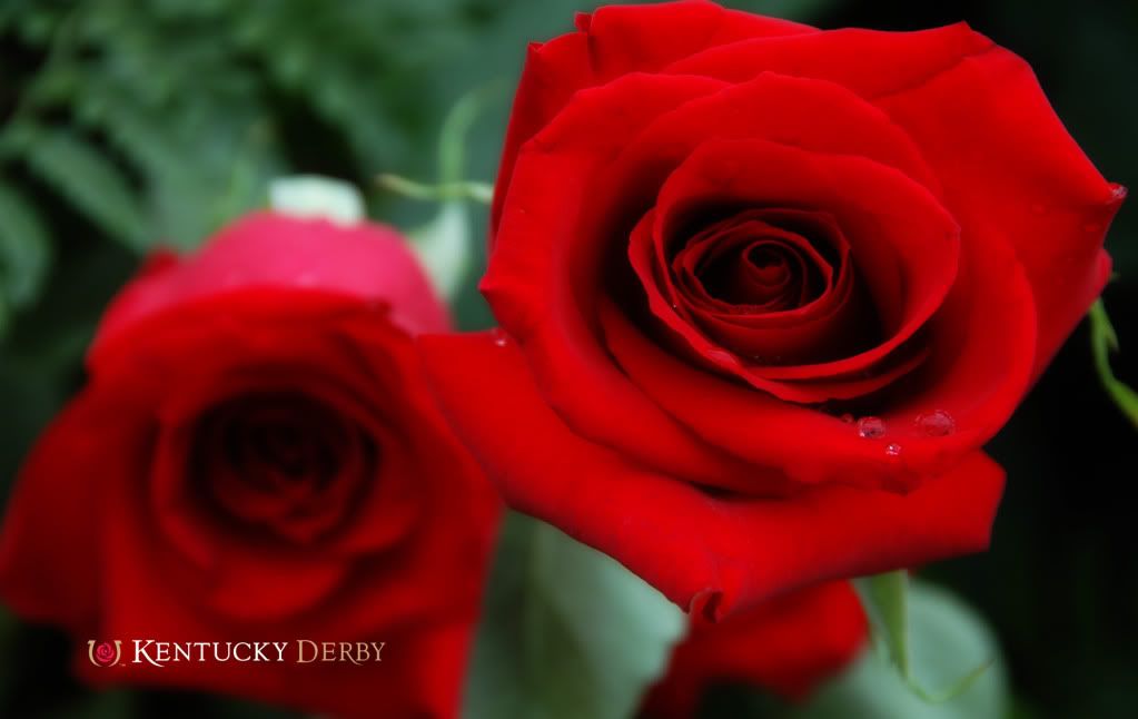 1900x1200 wallpaper. Derby-wallpaper-1900x1200-1.