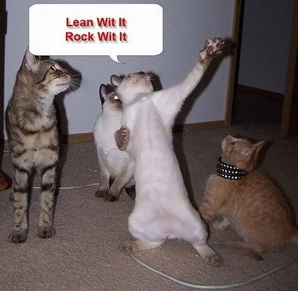 funny dancing. funny-dancing-cats.jpg