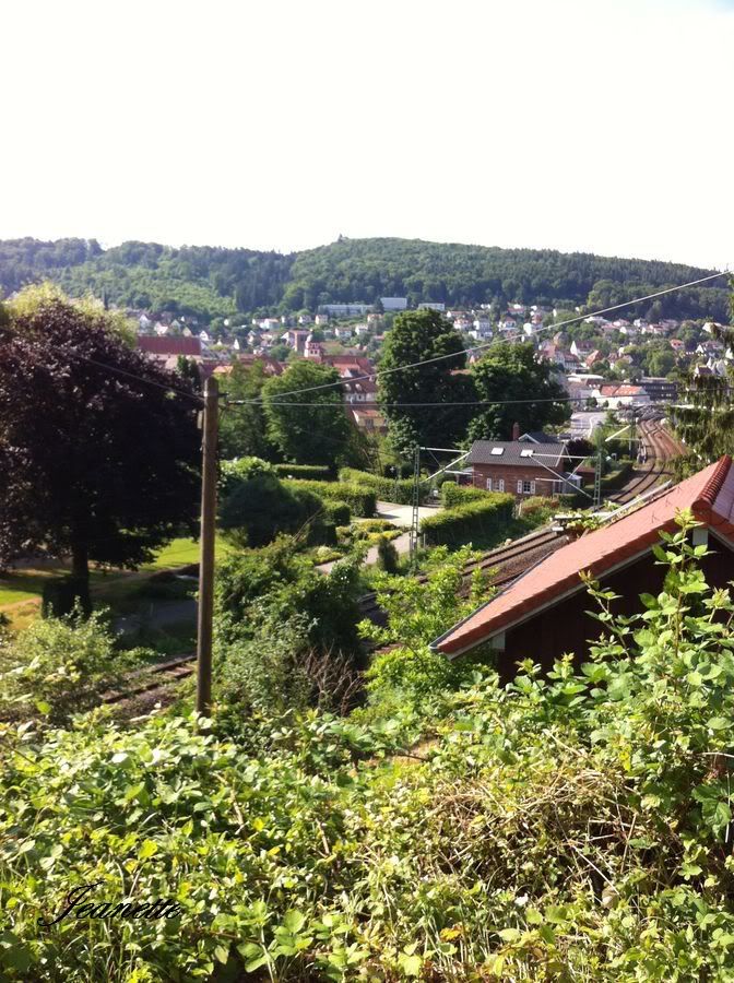 Blick über Mosbach