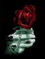 Death Rose