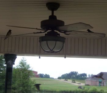 birds on ceiling fan