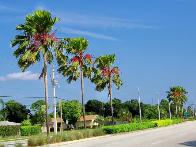100_5244.jpg
