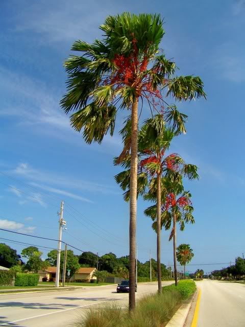 100_5246.jpg