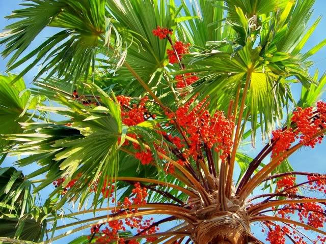 100_5249.jpg