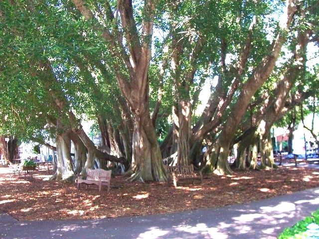 7eb1a34c-e8be-4ae3-82ef-05ee9cf18ebd_zps