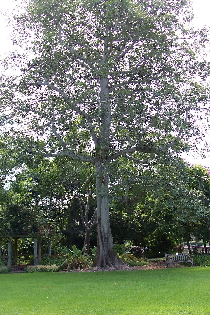 d721.jpg